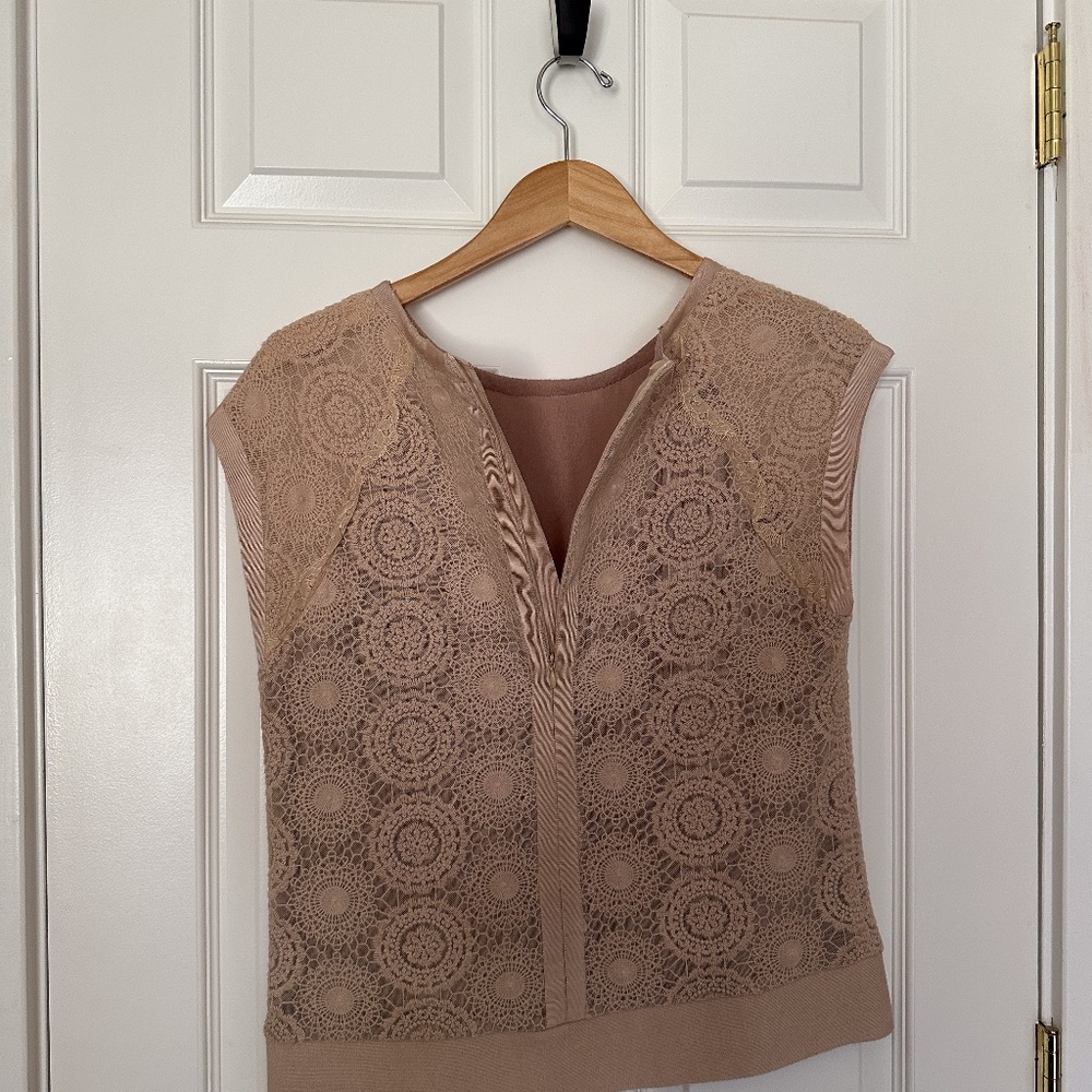 Designer Blush Lace Top With Mesh Lining By Scand… - image 6